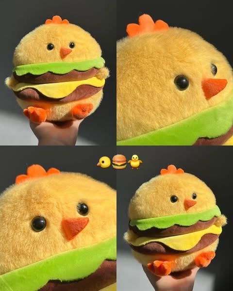 جوجه همبرگری سایز ۲۰ سانت